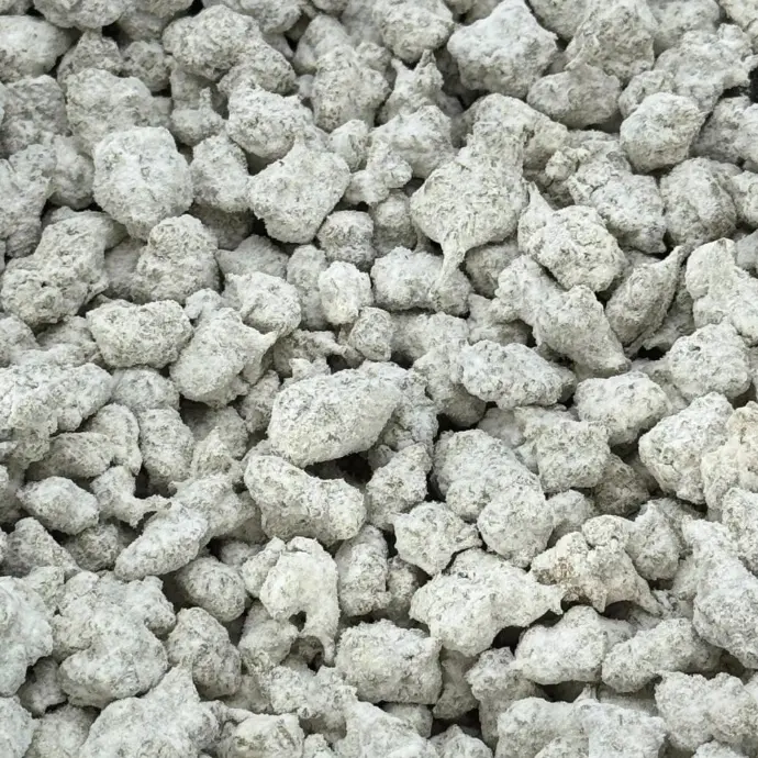 SNOWCAPS - Mango Dream